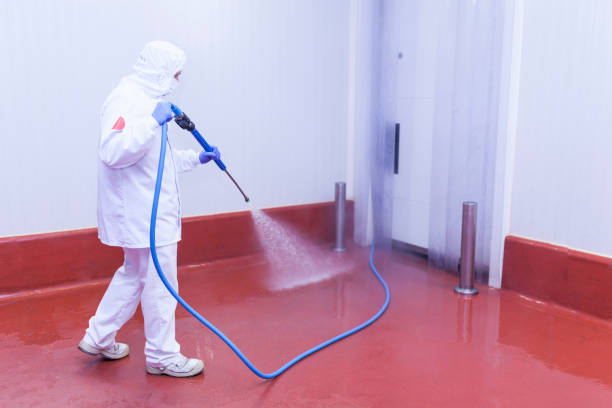Best Solar Panel Cleaning  in St Clair, PA